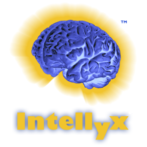intellyx-web