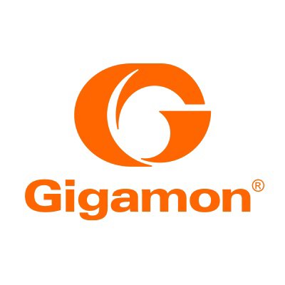 Gigamon logo