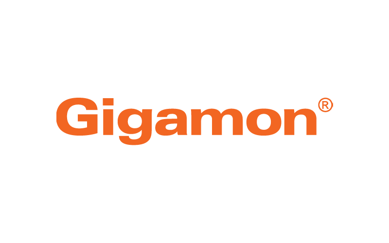 Gigamon: Deep network observability for hybrid cloud security – Intellyx – The Digital Transformation Experts – Analysts