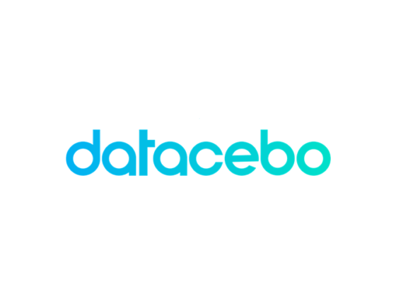 Datacebo Intellyx BC logo