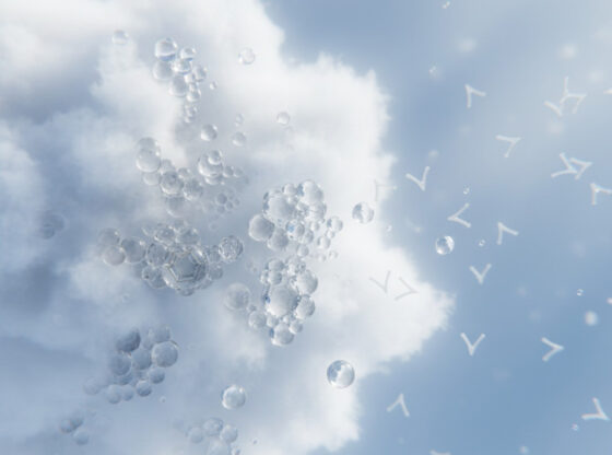 Auguria Part 1 Data Experience